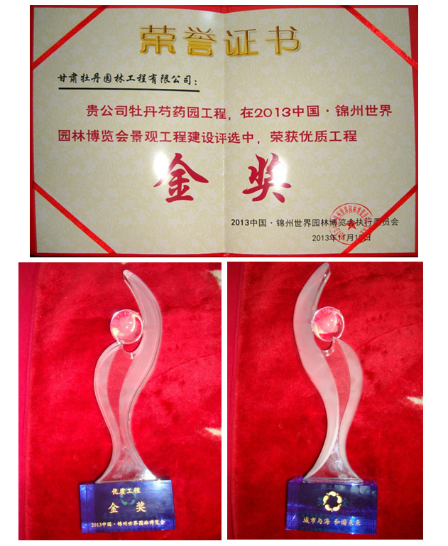 2013年锦州世界园艺博览会金奖